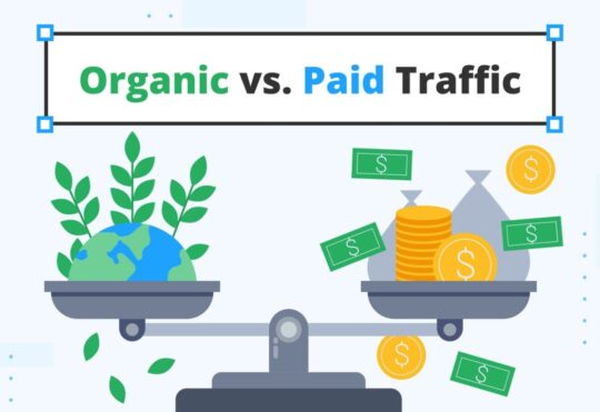 Organic vs Paid Search: Differences